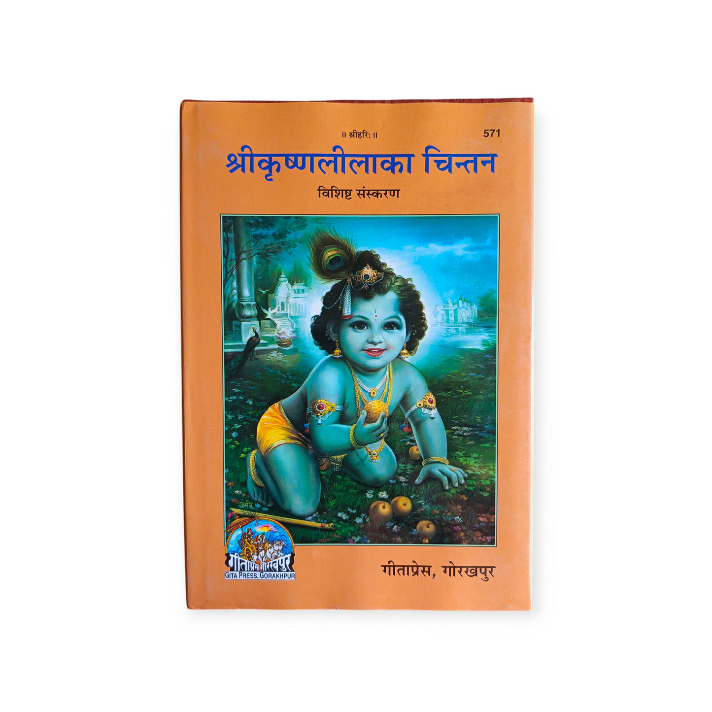 Shri Krishna Leela Ka Chintan-571