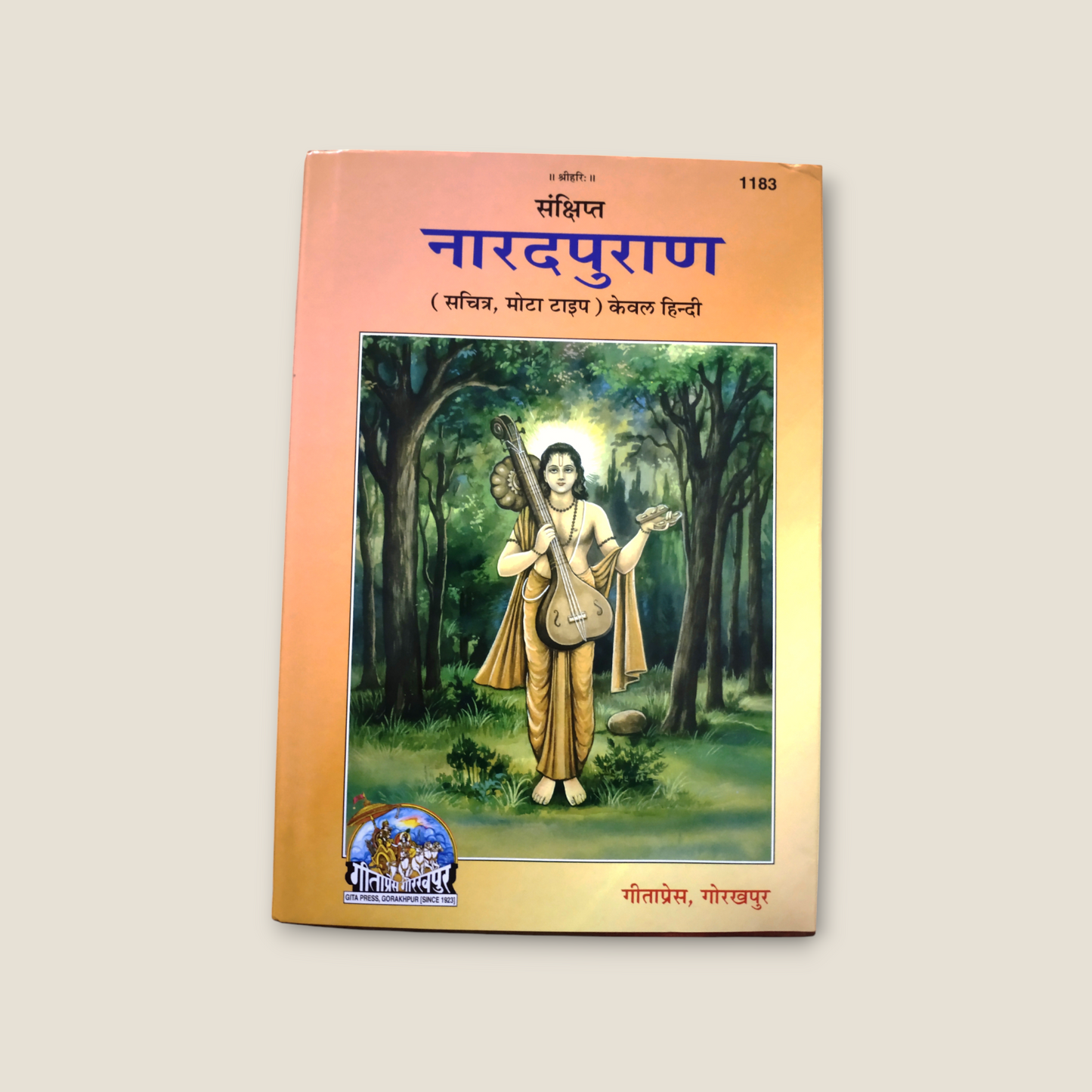 Sankshipt Narad Puran