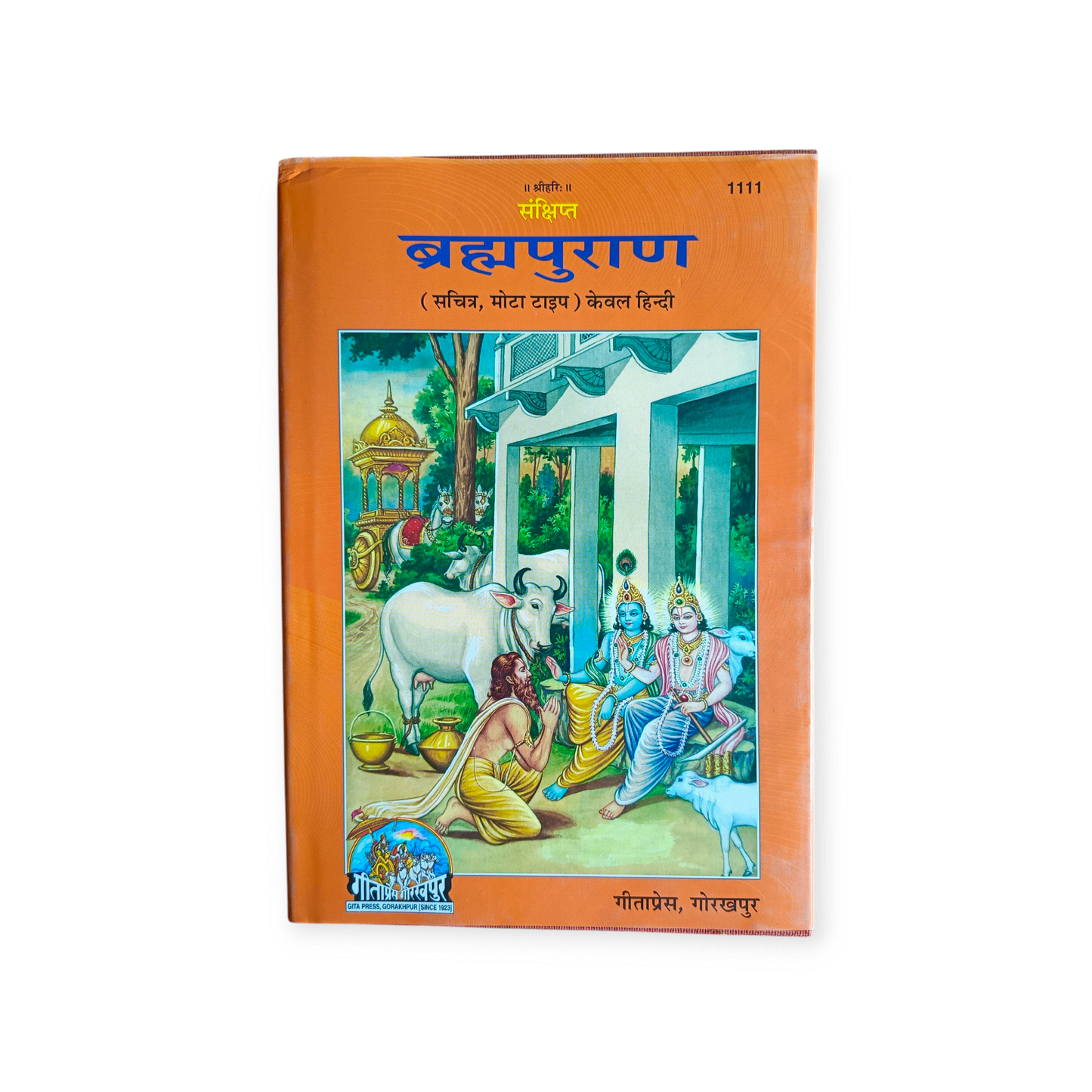 Sankshipt Brahma Puran (Sachitra, Mota Type, Keval Hindi) - 1111