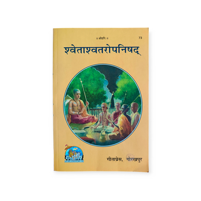 Upnishad (Set of 11 Upnishads)