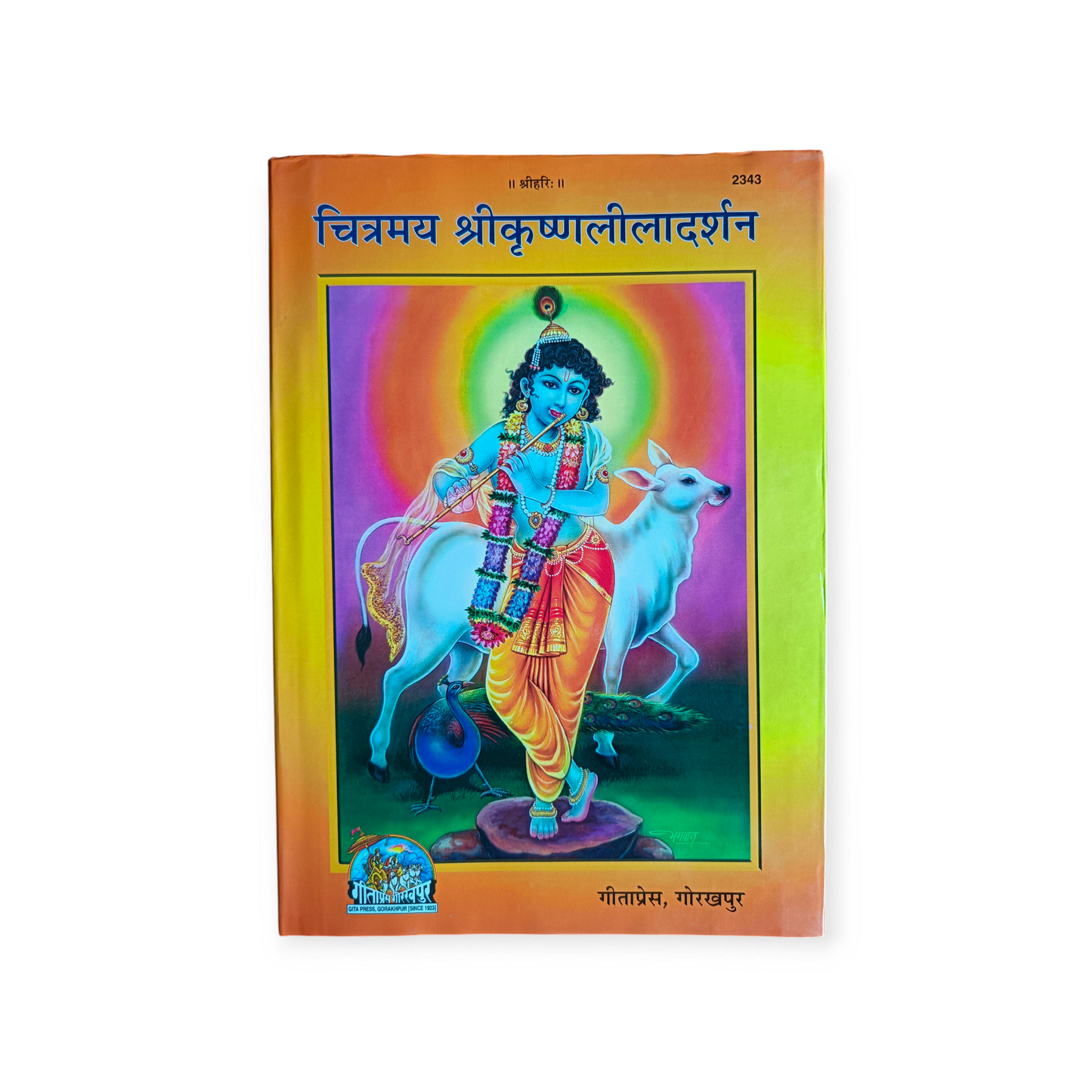 Chitramay Shri Krishna Leela Darshan - 2343
