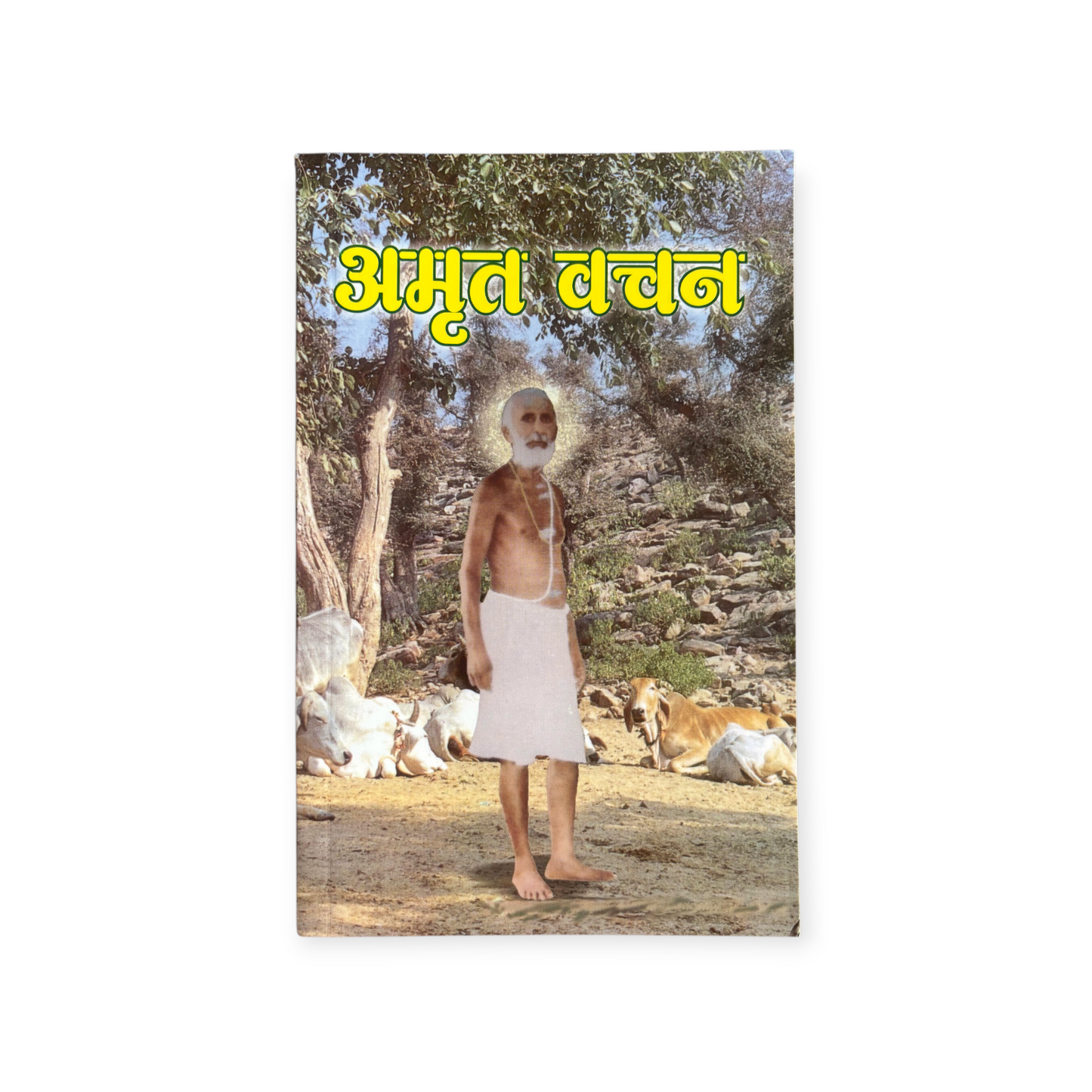 Amrit Vachan (Pujya Shri Pandit Ji Gayaprasad Ji Maharaj)